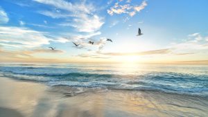 Building Resilience Through a Trauma-Informed Lens